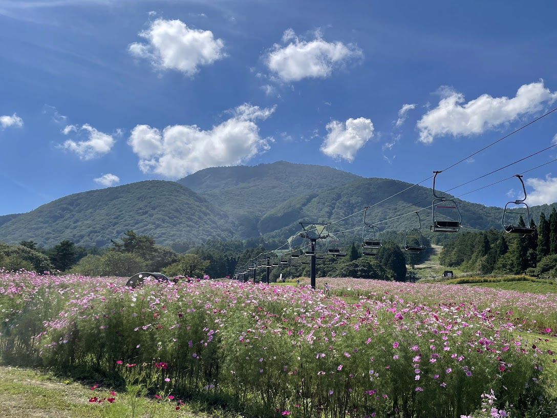 写真ー４②　信濃富士 黒姫山